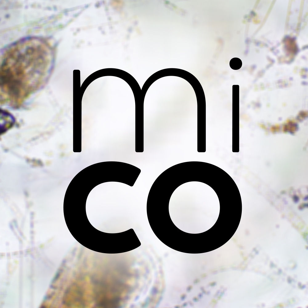 Journey to the Microcosmos