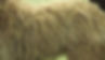 Coat 8.JPG