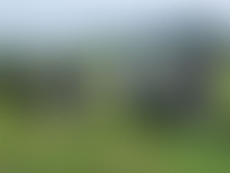 Gundog Training Day - 18 June 2023