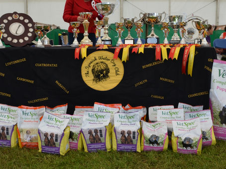 SWDC Open Show 2023 - Results !