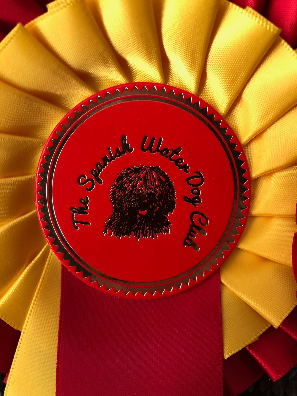 Spanish Water Dog Club Rosette