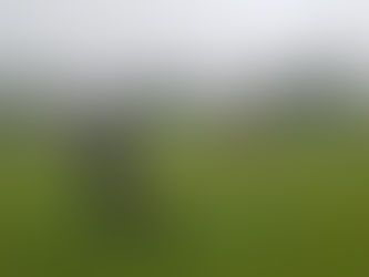 It's not as easy as it looks! Showcasing SWD's at the Ardingly Game Fair.