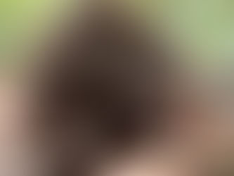 Espécie ameaçada é reintroduzida em reserva ambiental na Bahia