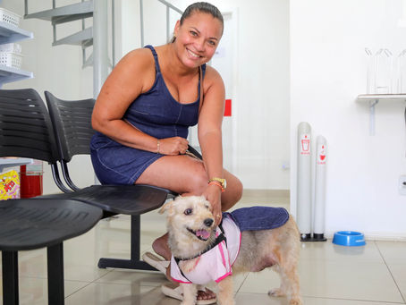 Outubro Rosa Pet: Prefeitura atende 40 animais para cirurgia de retirada de tumores mamários