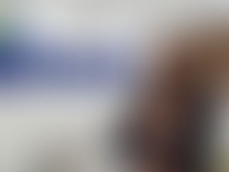 Empresa de celulose lança projeto em parceria com universidades