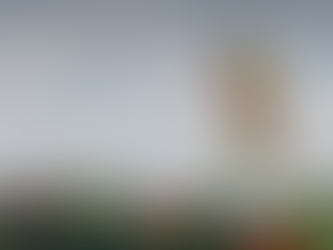 “Um pouco sobre”: Veganismo