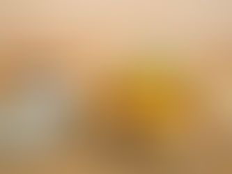 Comida di Buteco 2024: Saboreie autêntica culinária de boteco em Salvador