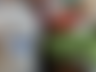 Vigilância Sanitária inicia atendimento para licenciamento sanitário do Carnaval a partir de segunda-feira (29)