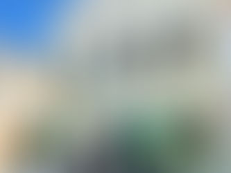 Squad de Rasteirinhas Havaianas se reúne em Salvador