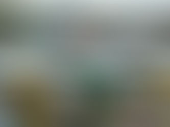 Prefeitura de Salvador garante gratuidade da passagem dos ônibus para segundo turno