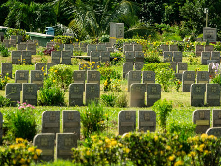 Bosque da Paz realiza programação especial no Dia de Finados 