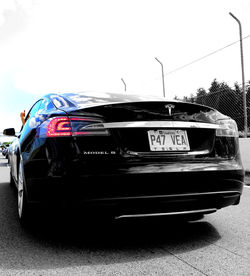 Tanguy Lays "golojap"