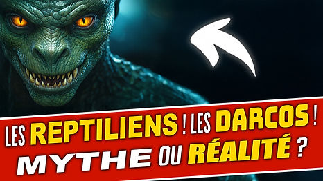 MINIATURE DRACOS.jpg