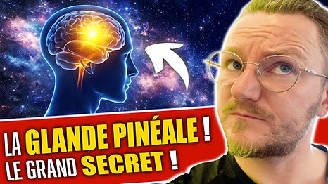 MINIATURE PINEALE.jpg