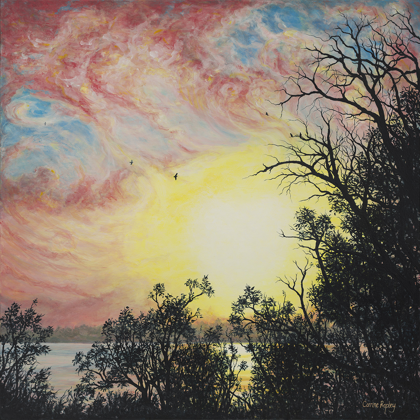 Sunrise