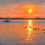 Thumbnail: Estuary Ducks at Sunrise oil painting by Corrine Rapley