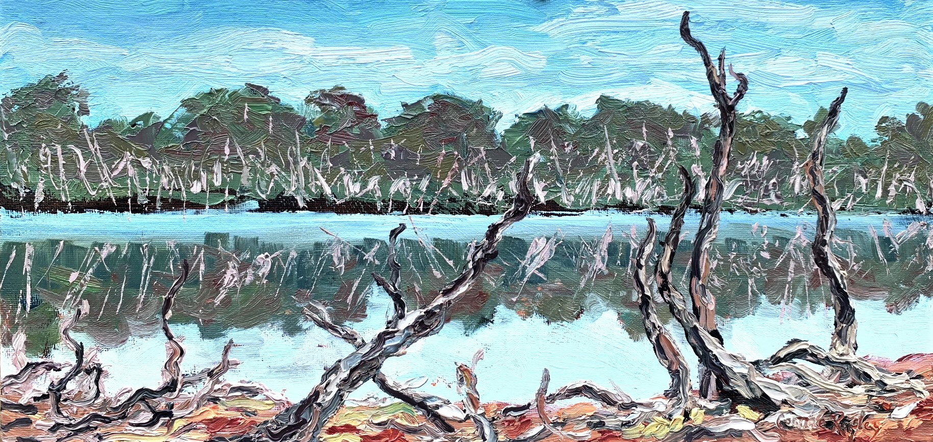 Barragup Swamp