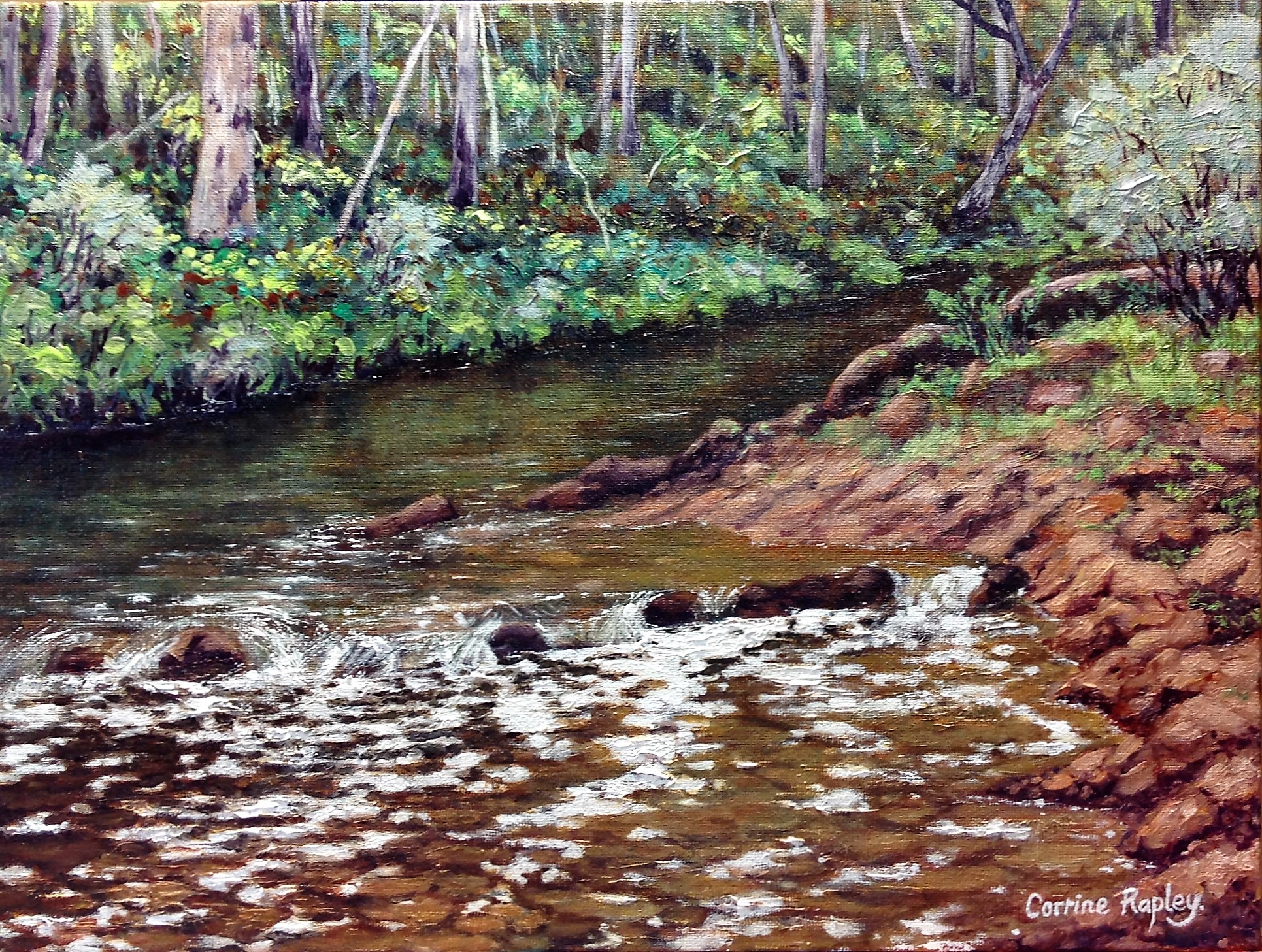 Murray River Rapids