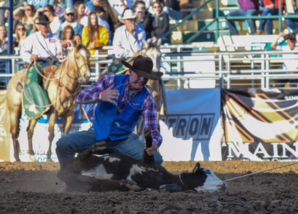 Cal Poly Rodeo Cowboy in San Luis Obispo, California.