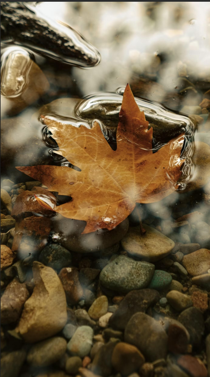 Becoming Real: Breaking Free from Victimhood and Becoming Who God Made Me to Be