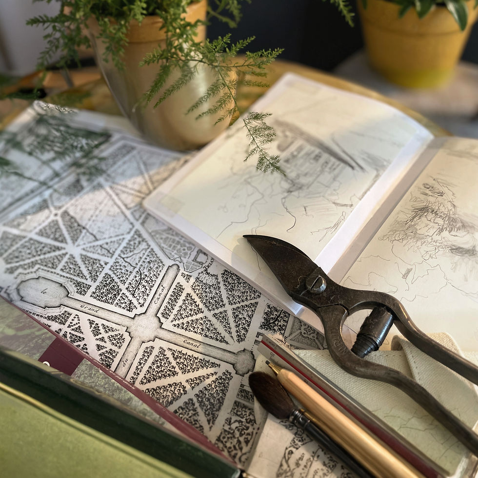 crouis dessins stylo plantes livres plans anciens