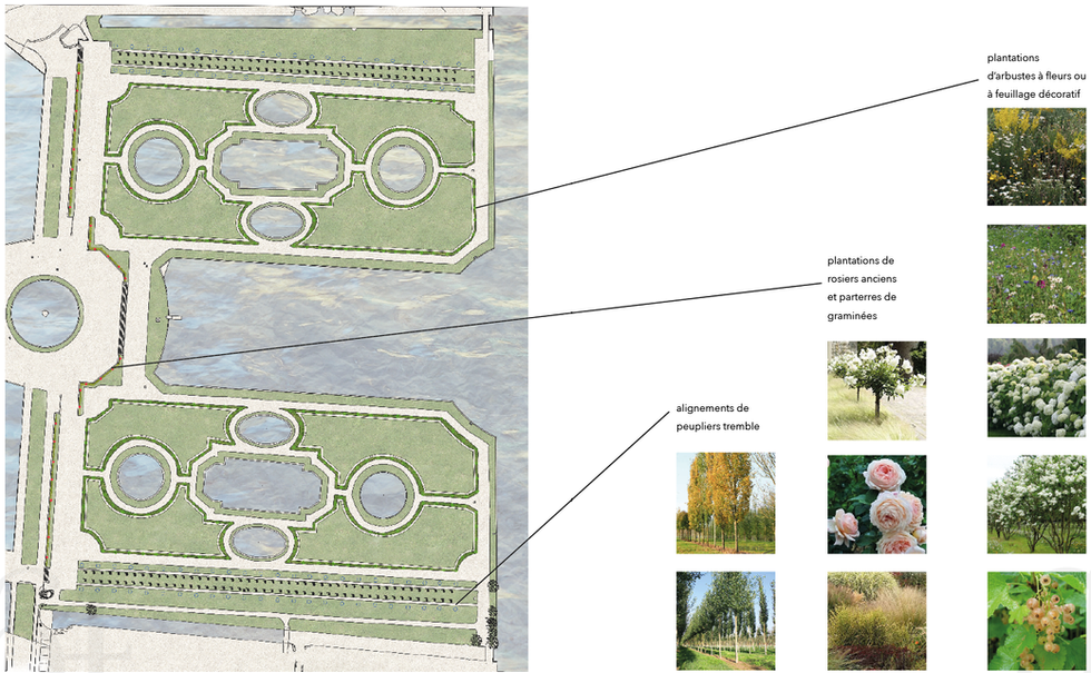 proposition d'un fleurissement des parterres de La Nôtre
