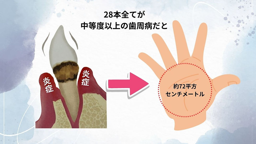 歯周病の面積換算