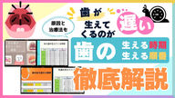 歯の生え変わりが遅い