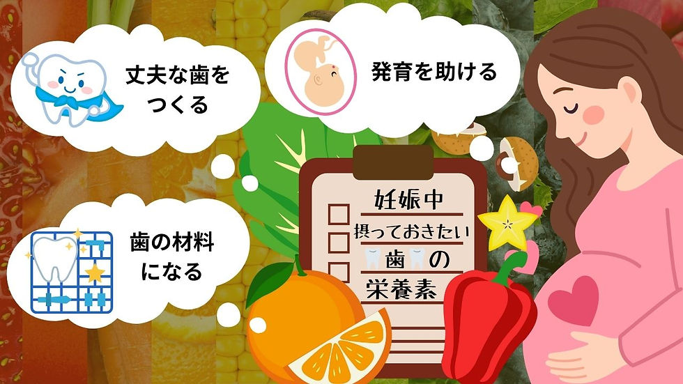 歯の栄養素
