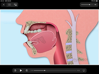 動画、当院オリジナルの説明書を使用した矯正トレーニング