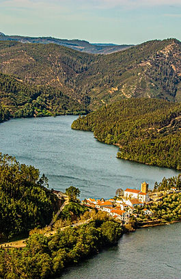 WhatsApp Image 2023-02-14 at 15.55.57 (6).jpeg