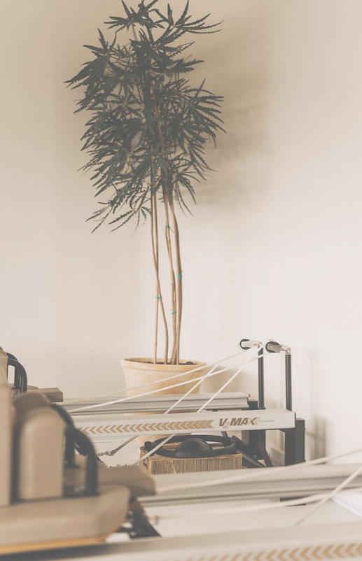 site BREATHE (1).png