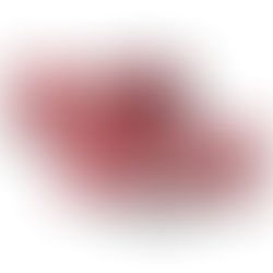 Arkansas State University