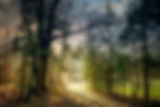 your path to healing.jpeg
