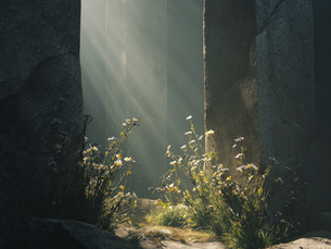 «А какой во всем этом смысл?»: Боль бессмысленности и поиск новой опоры