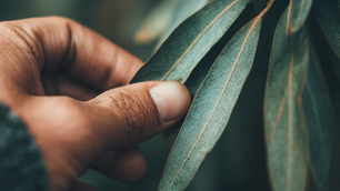 ощущения тела