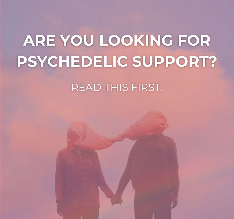 Psychedelic Support Facilitator
