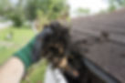 Gutter-Cleaning.jpg