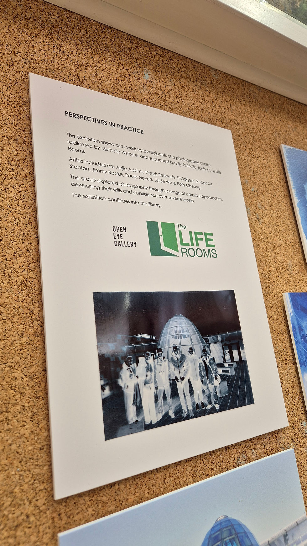 Life Rooms - 26 - Show Case
