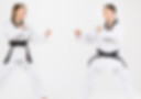 karate-girl-boy-with-black-belts.jpg
