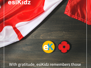 Reflecting on Remembrance Day: A Guide for Young Learners