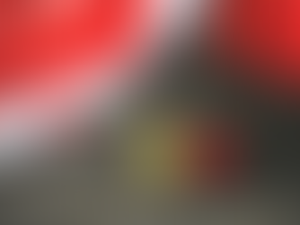 Reflecting on Remembrance Day: A Guide for Young Learners