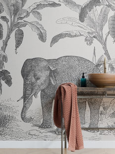 loxodonta illustrated elephant