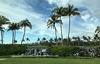 hawaii.jpeg