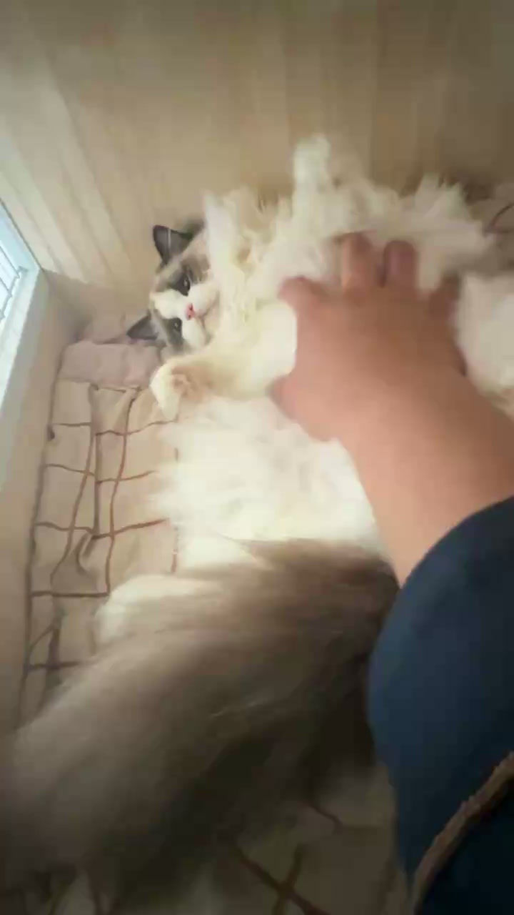 视频2026-07-25_155932_826.mp4