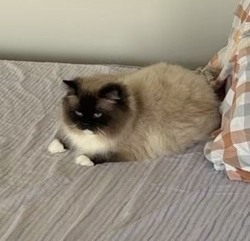 图片_20260517165340_6923_19.jpg