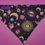 Thumbnail: Planetary Gold Pet Bandana