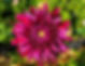 Thumbnail: Bloomquist Port
