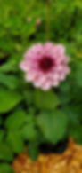 Thumbnail: Creme de Cassis