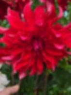 Thumbnail: Red Labyrinth